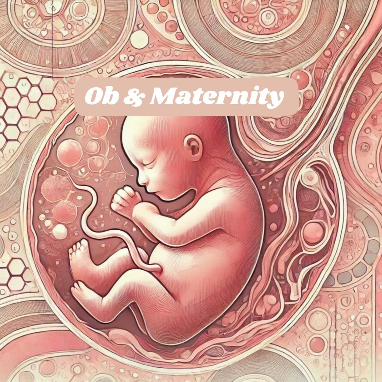 Ob & Maternity Notes - Nurses Edge®