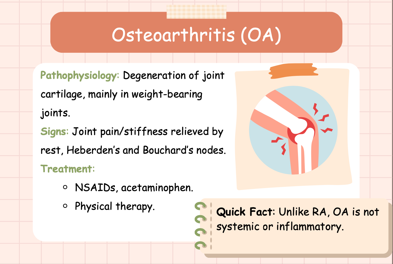 NURSING FLASHCARDS - Nurses Edge®