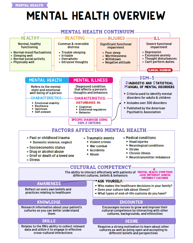 Mental Health Notes - Nurses Edge®