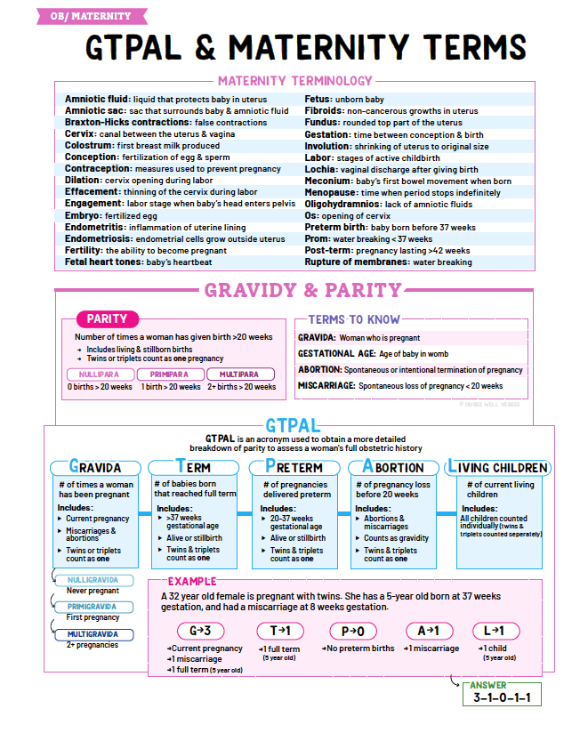 Ob & Maternity Notes - Nurses Edge®