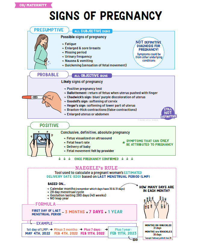 Ob & Maternity Notes - Nurses Edge®