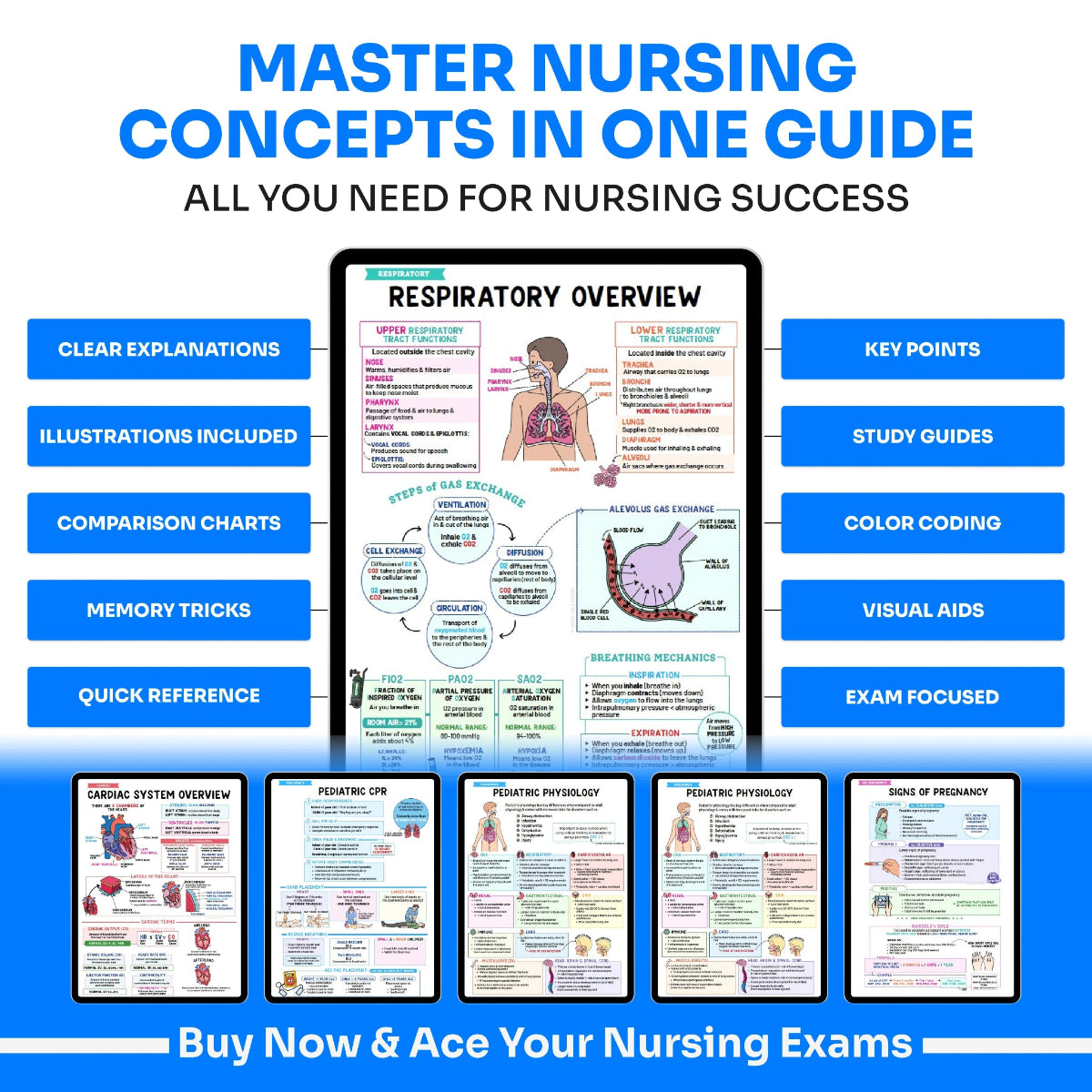 Nurse full study guide